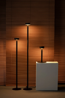 PEAK-LANE-Floor-lamp-Milan-Iluminacion-489394-reld6bd213e.jpg thumb image